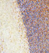 Georges Seurat Detail of Dance painting